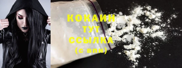 дживик Белокуриха