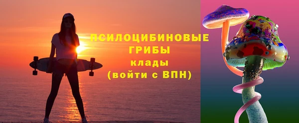 дживик Белокуриха