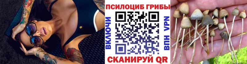 МЕГА ССЫЛКА  цена   Воскресенск  Галлюциногенные грибы MAGIC MUSHROOMS 
