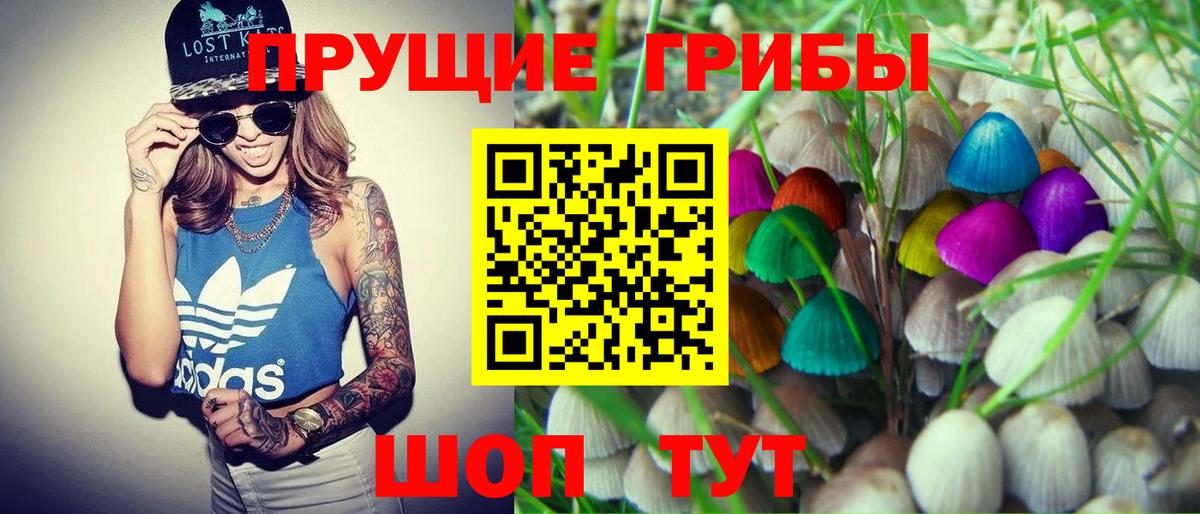 Псилоцибиновые грибы Magic Shrooms  Галлюциногенные грибы Psilocybine cubensis  Воскресенск 