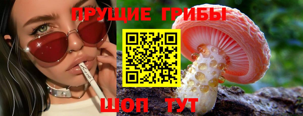Воскресенск  Галлюциногенные грибы Psilocybe  Вход с VPN  Псилоцибиновые грибы GOLDEN TEACHER 